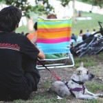 Clark Park