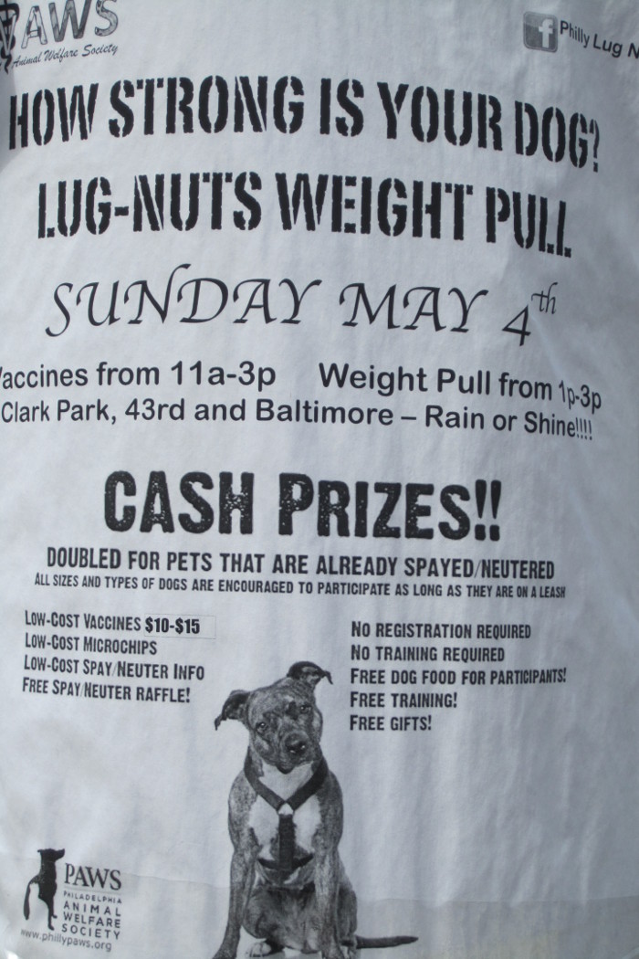 Lug Nuts Weight Pulling Competition For Dogs Vaccine Clinic On Sunday West Philly Local