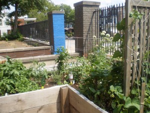 West Philadelphia High School garden