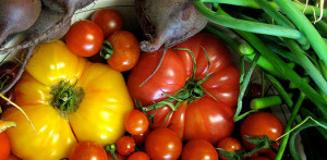 MS_CSA_Vegetable_1C