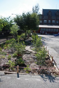 june 1 planting bed with path