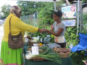 MillCreekFarm