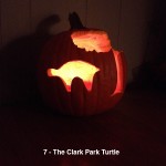 clark park turtle copy