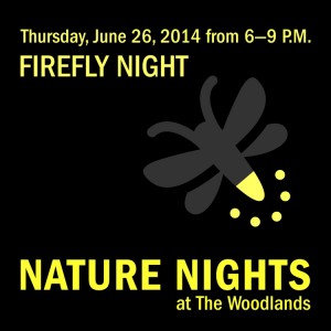 TheWoodlands_FireflyNight