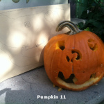 Pumpkin11