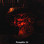 Pumpkin12
