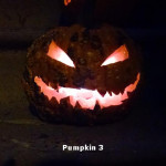 Pumpkin3