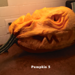 Pumpkin5