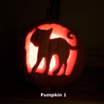 Pumpkin1_2015_1