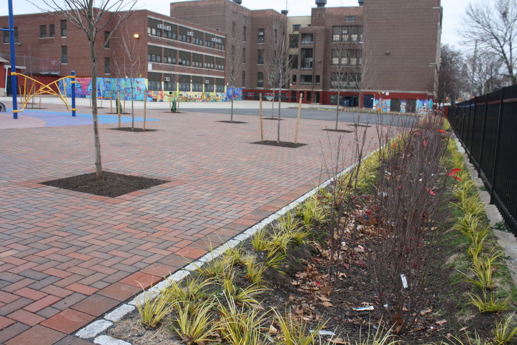 Rain-garden-red-1024x683