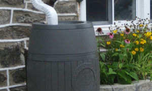 RainBarrel