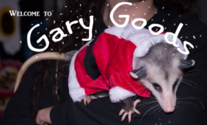 garyopossum